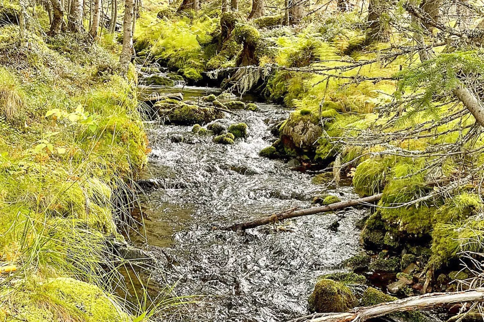 8 persoons vakantie huis in Sälen-Waterzicht