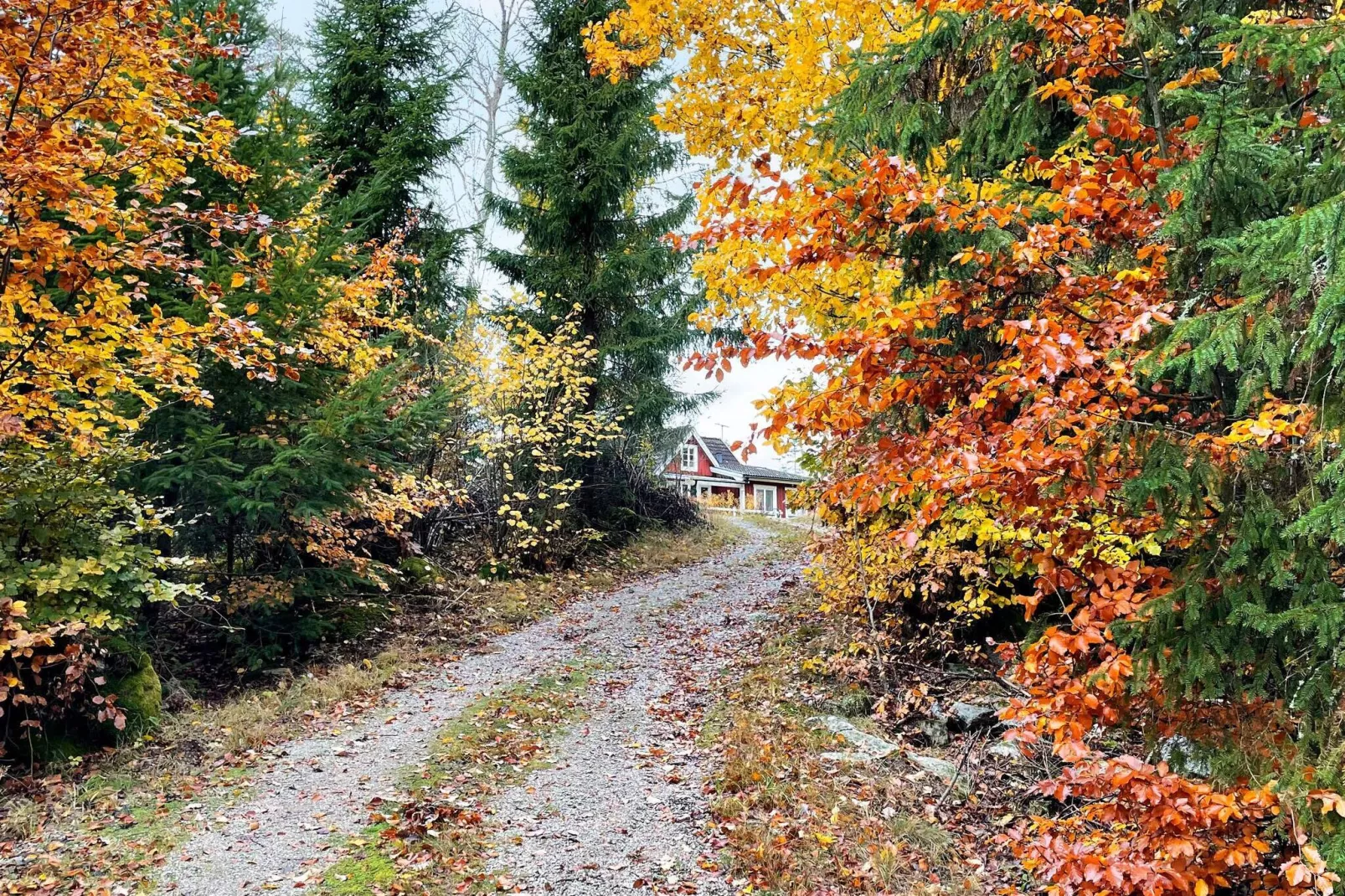 13 persoons vakantie huis in KYRKHULT-Buitenlucht