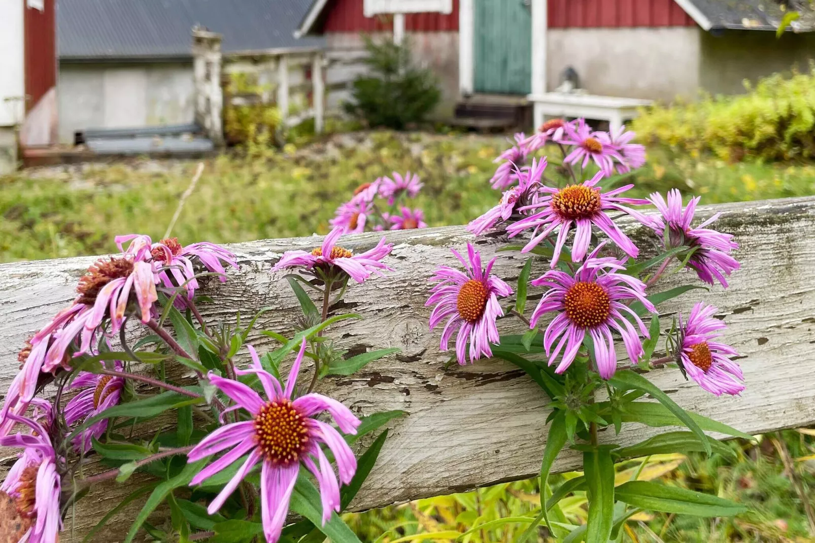 13 persoons vakantie huis in KYRKHULT-Buitenlucht