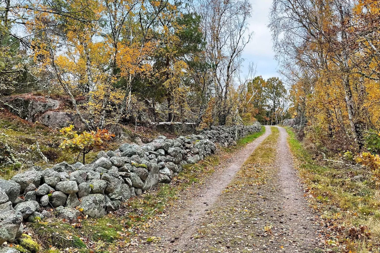 4 sterren vakantie huis in TORHAMN-Buitenlucht