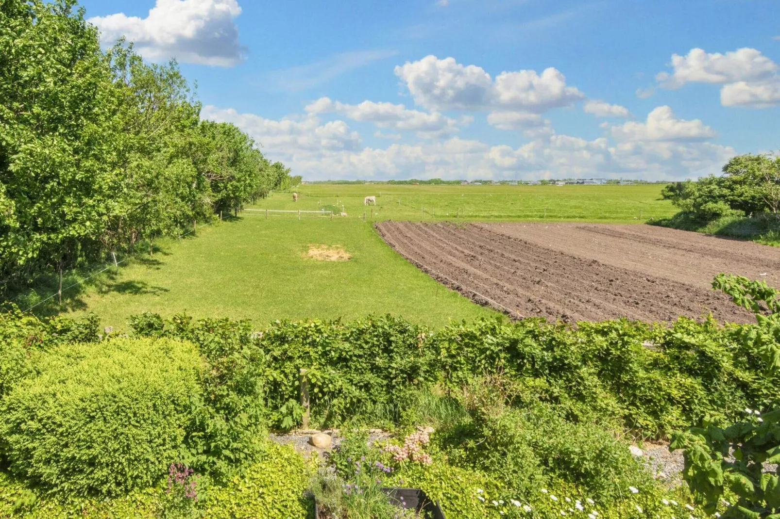 6 persoons vakantie huis in Ringkøbing-Uitzicht