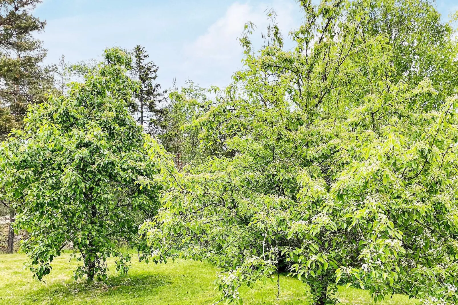 4 sterren vakantie huis in VÄDDÖ-Buitenlucht