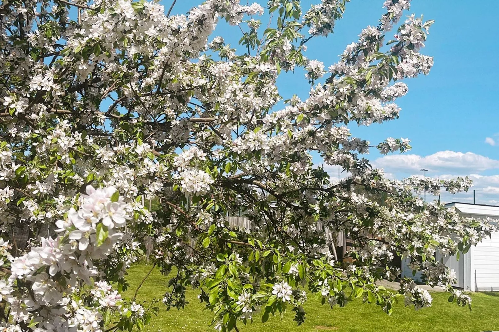 4 sterren vakantie huis in GÖTEBORG-Buitenlucht