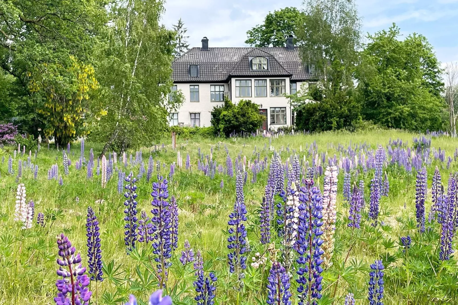 4 sterren vakantie huis in Olofström-Buitenlucht