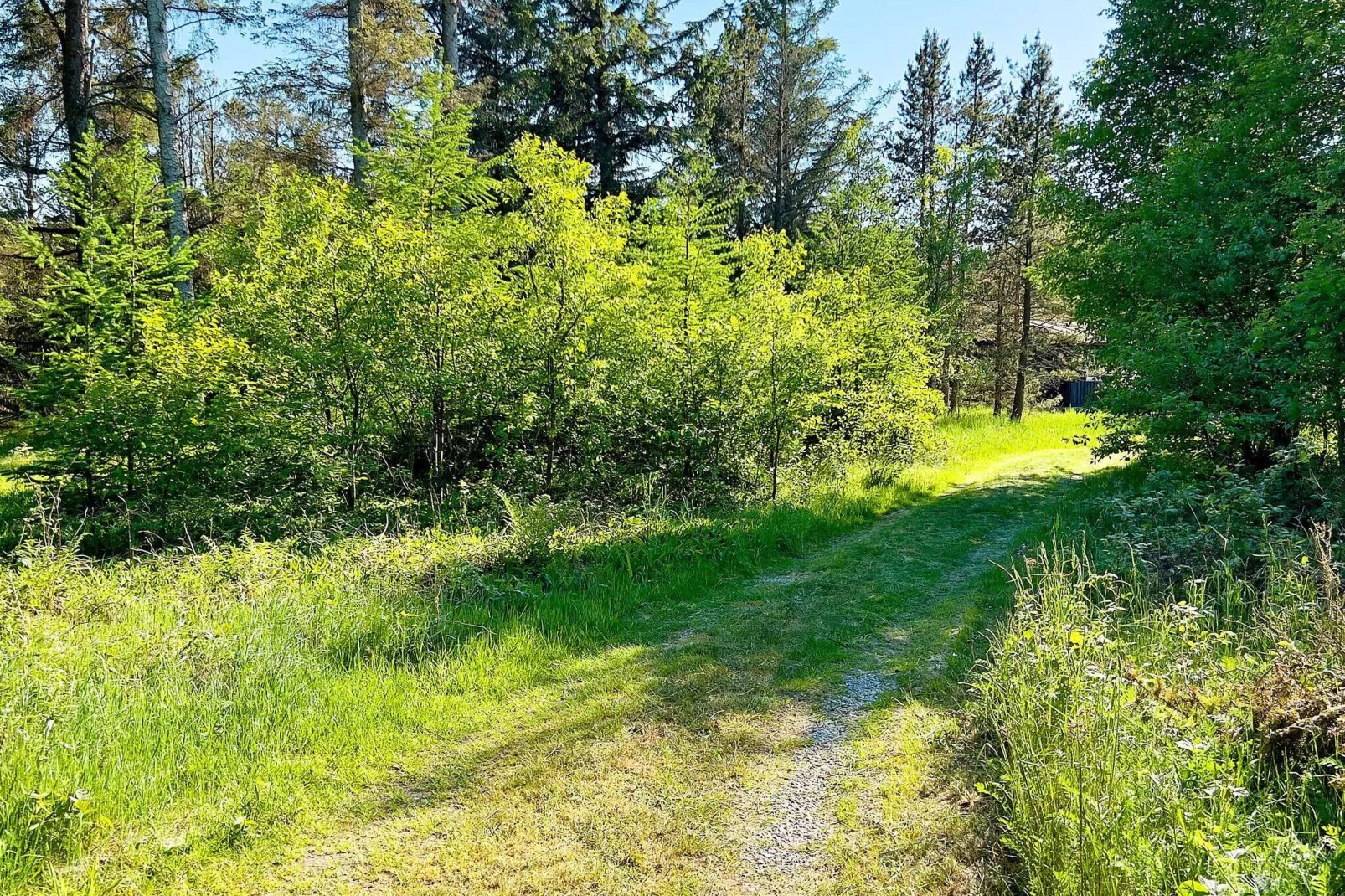 6 persoons vakantie huis in Ålbæk-Niet-getagd