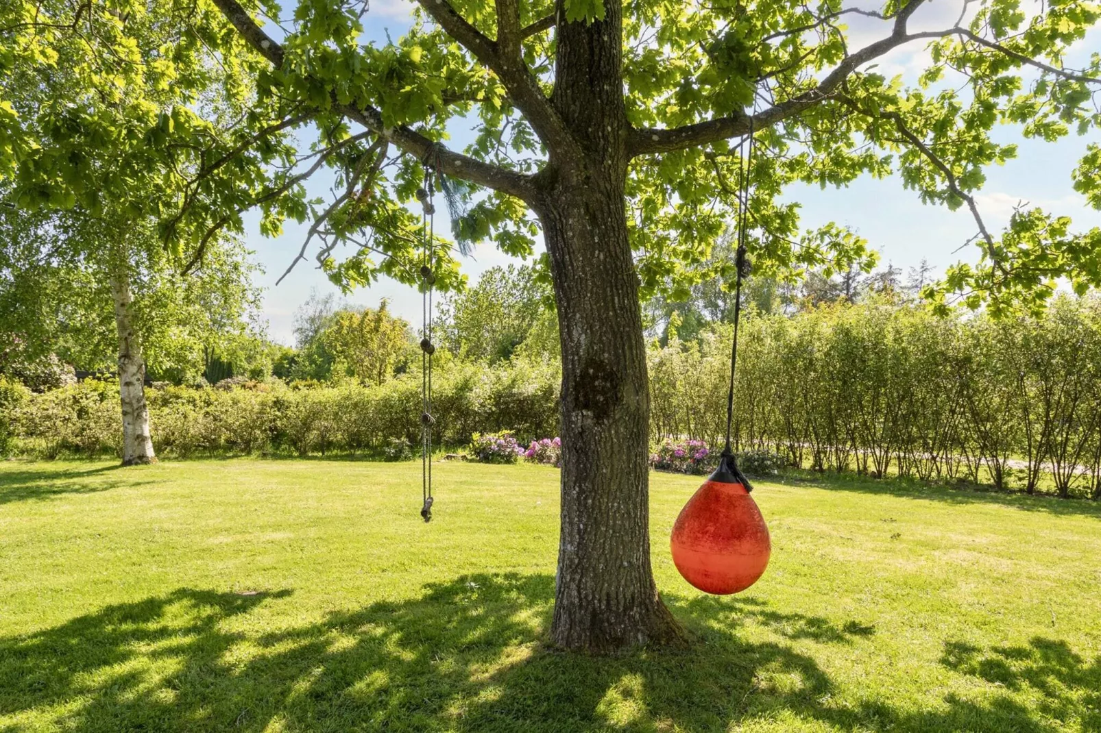 6 persoons vakantie huis in Roslev-Buitenlucht