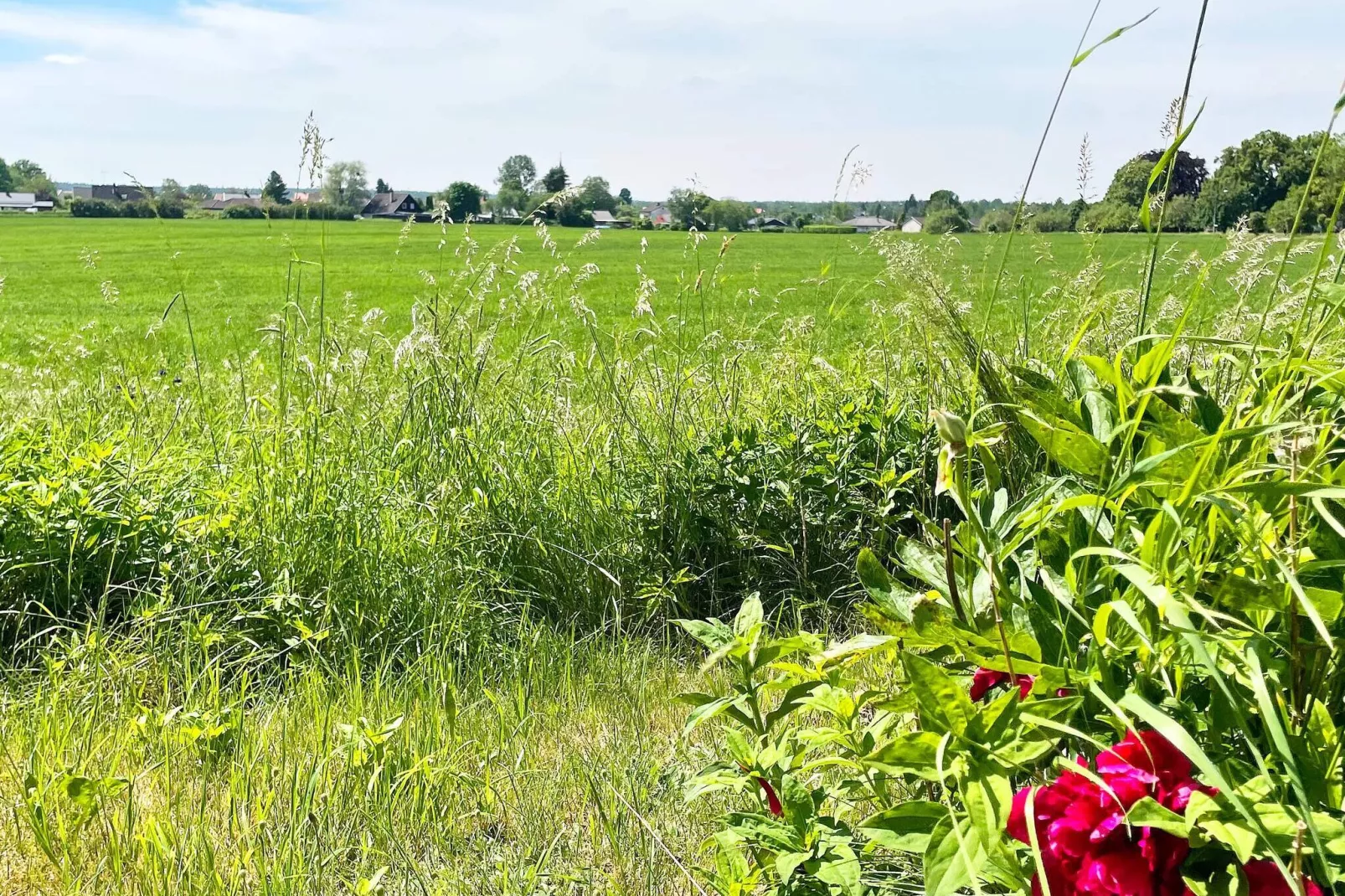 8 persoons vakantie huis in HÖGSBY-Buitenlucht