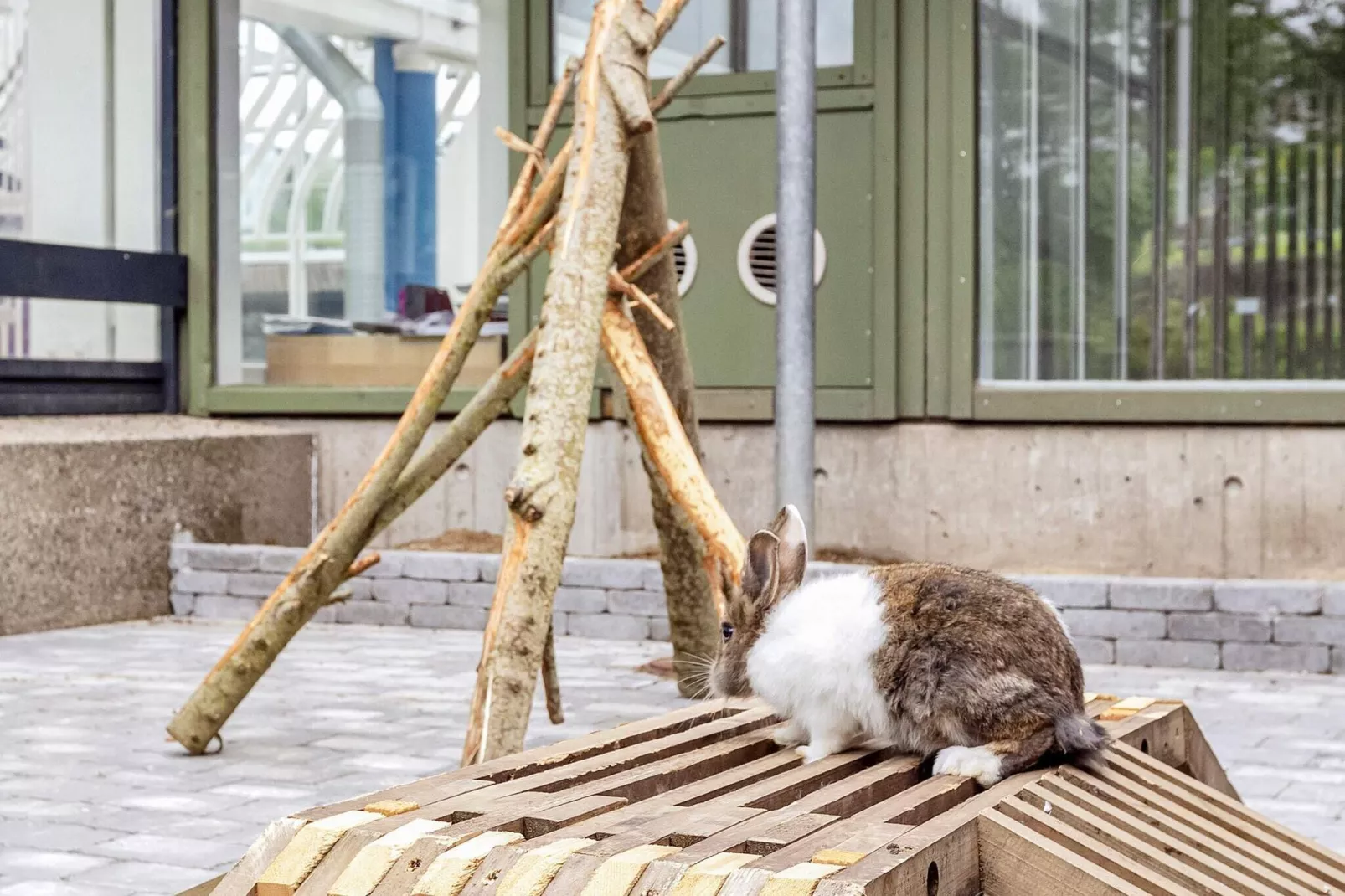 Hus, 5 Vær., 2.badevær.-Niet-getagd