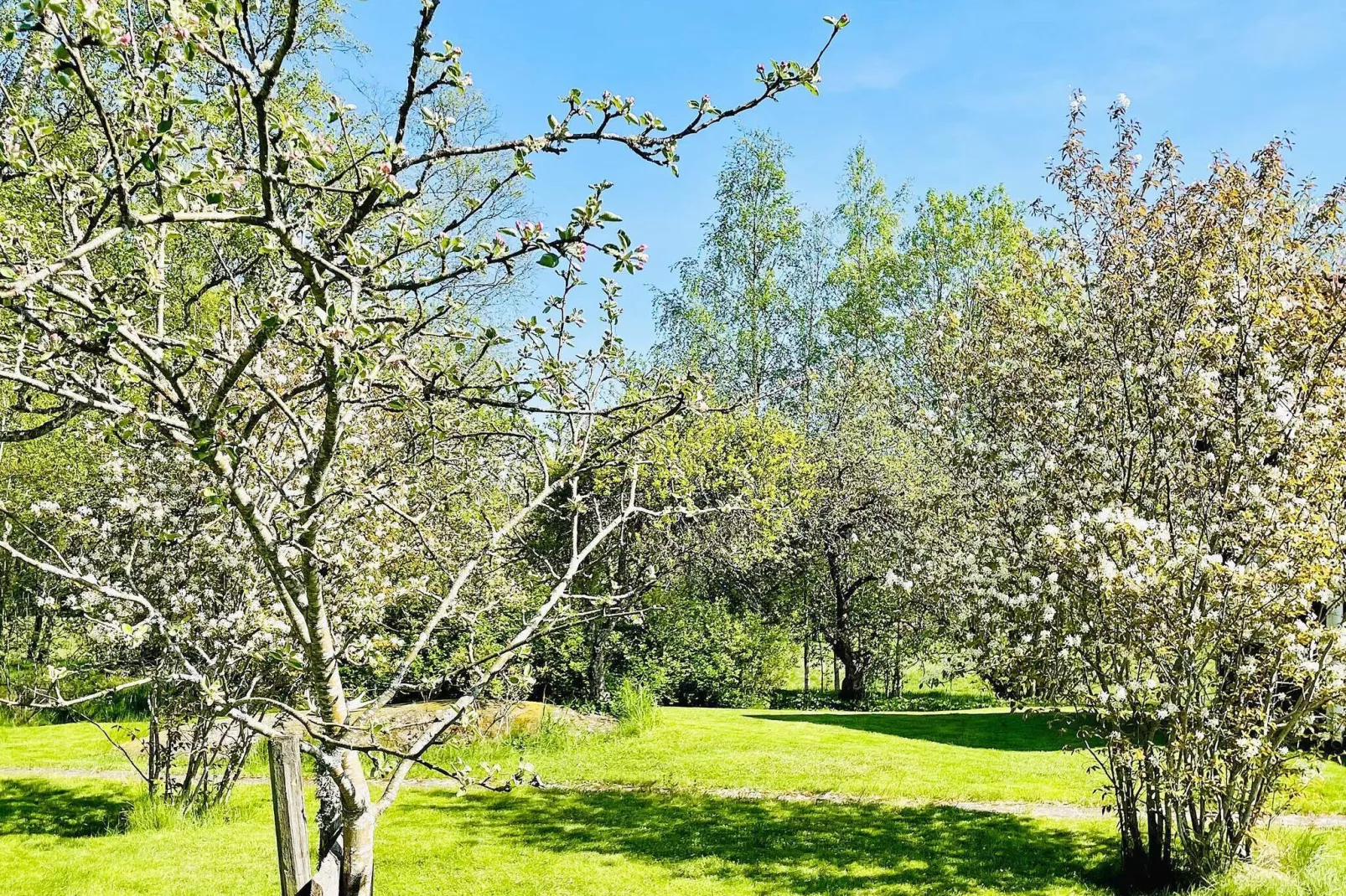 4 sterren vakantie huis in BRÅLANDA-Buitenlucht