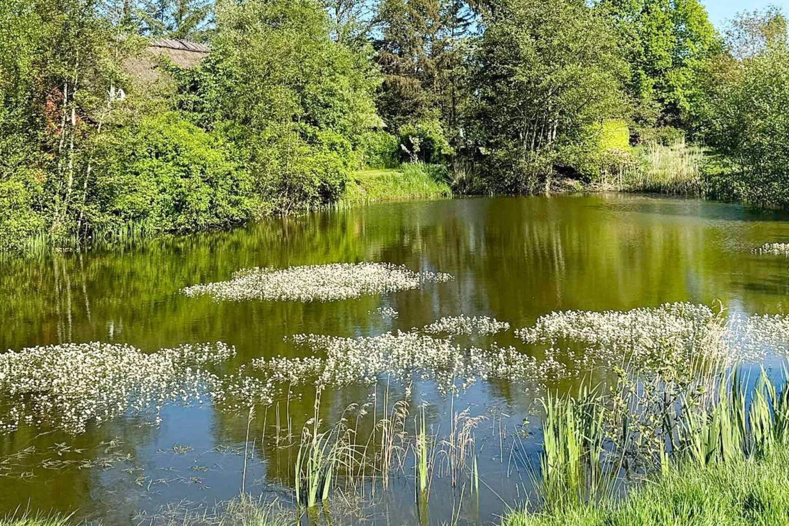 4 sterren vakantie huis in Vejby-Waterzicht