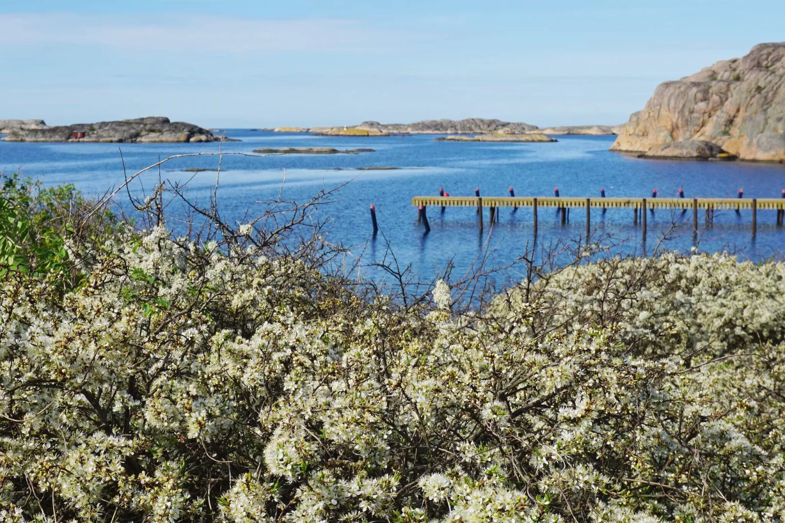 4 sterren vakantie huis in Hamburgsund-Waterzicht