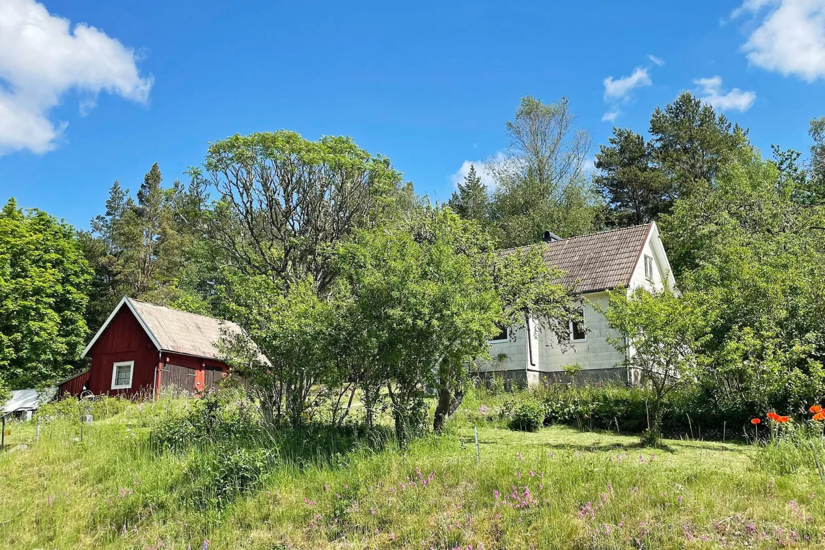 4 persoons vakantie huis in ASARUM-Buitenlucht