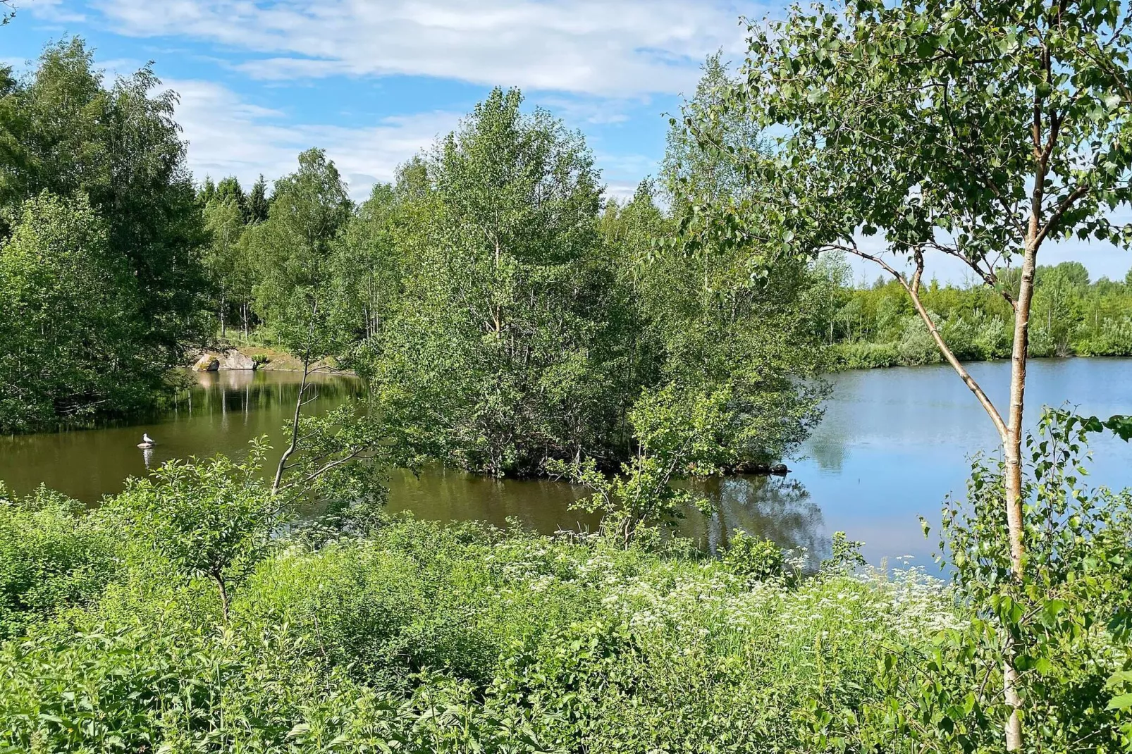 6 persoons vakantie huis in Ödeshög-Waterzicht