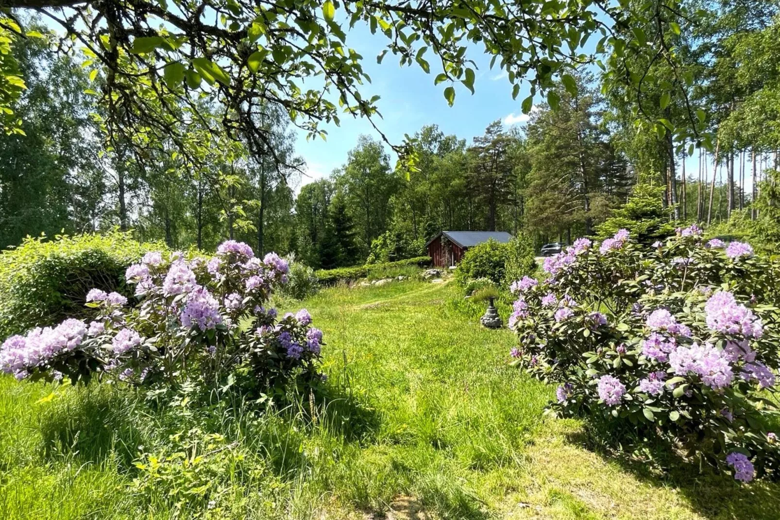 4 persoons vakantie huis in KOLMÅRDEN-Buitenlucht