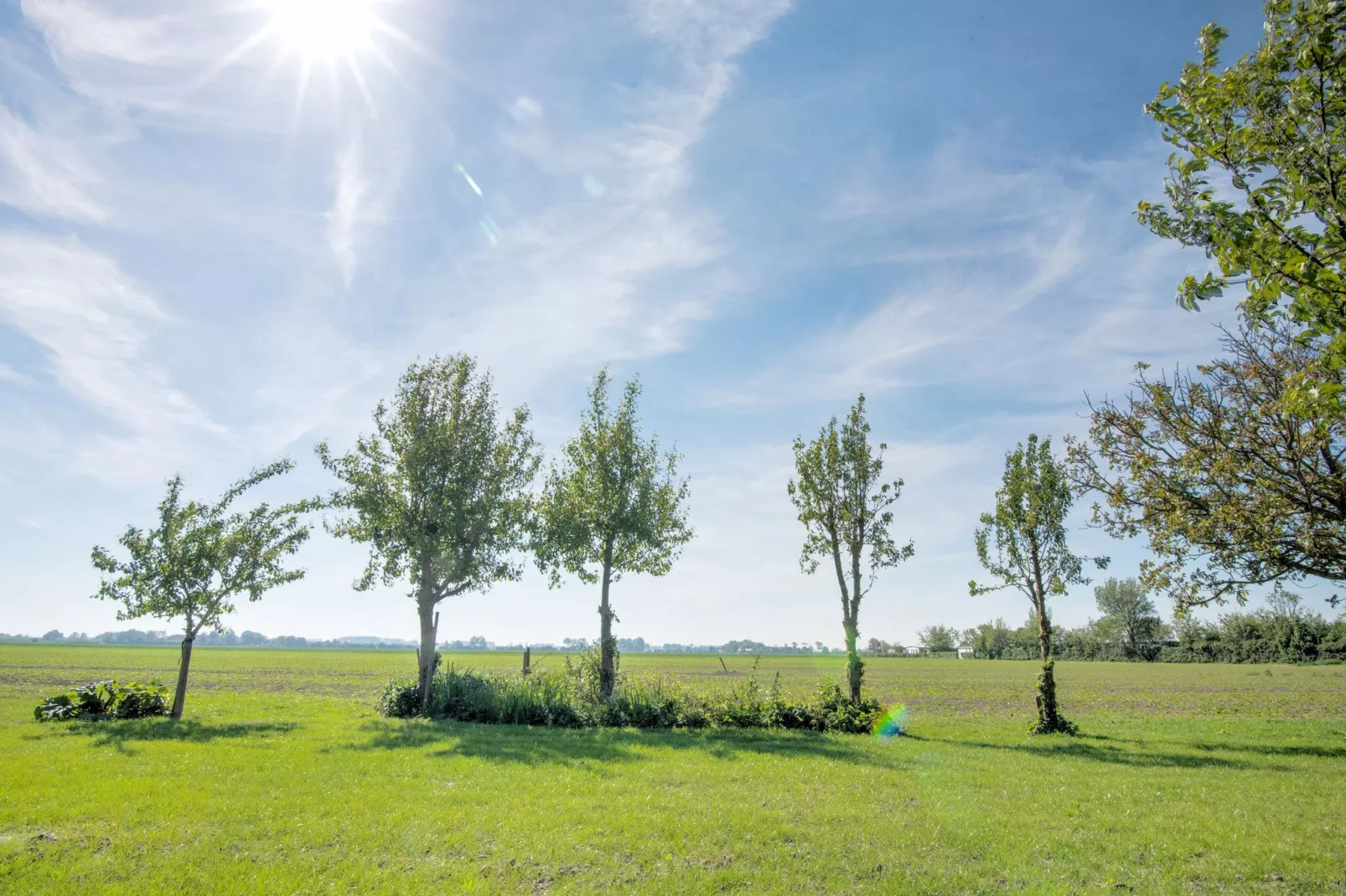 Het Zwarte Anker-Gebieden zomer 1km