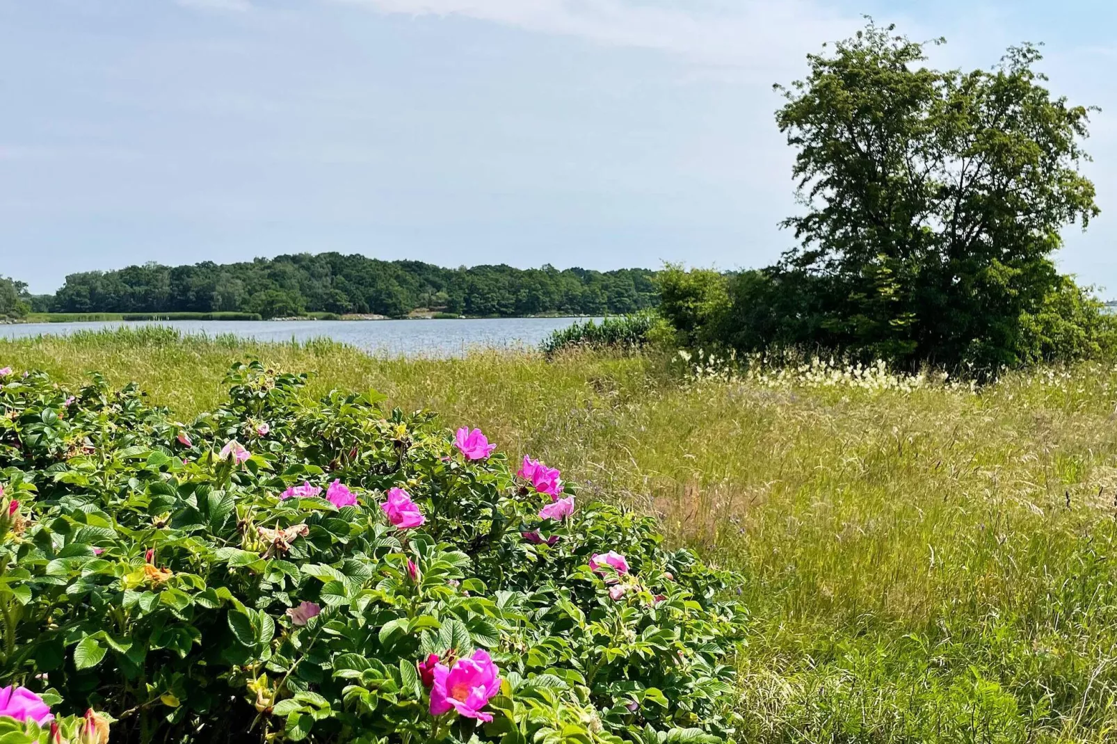 4 sterren vakantie huis in MÖRRUM-Buitenlucht