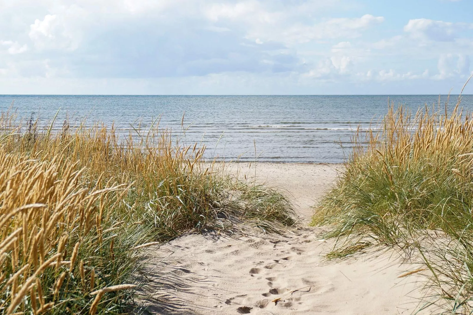 4 Personen vakantie huis in FALKENBERG-Niet-getagd