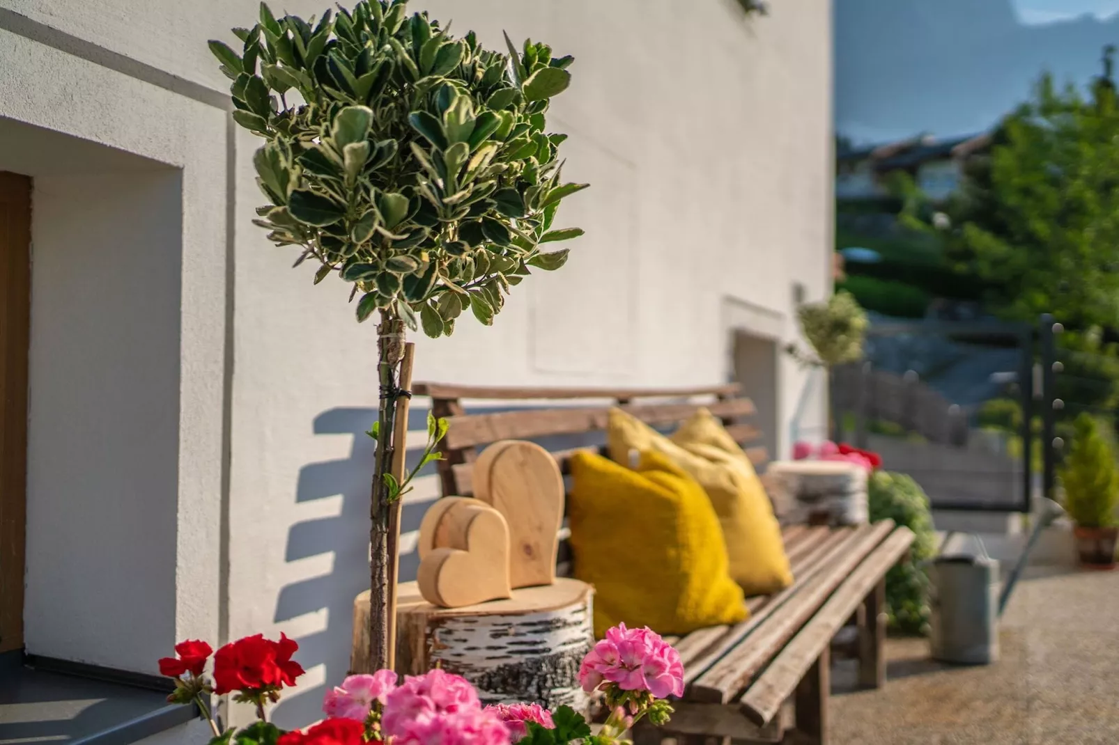 Ferienhaus Dachsteinheim-Buitenkant zomer