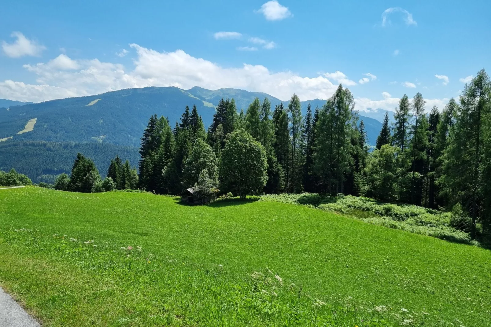 Apartment Bergblick-Uitzicht zomer