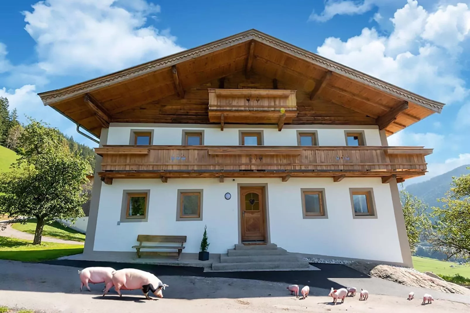 Bauernhaus Stoanerbauer-Buitenkant zomer