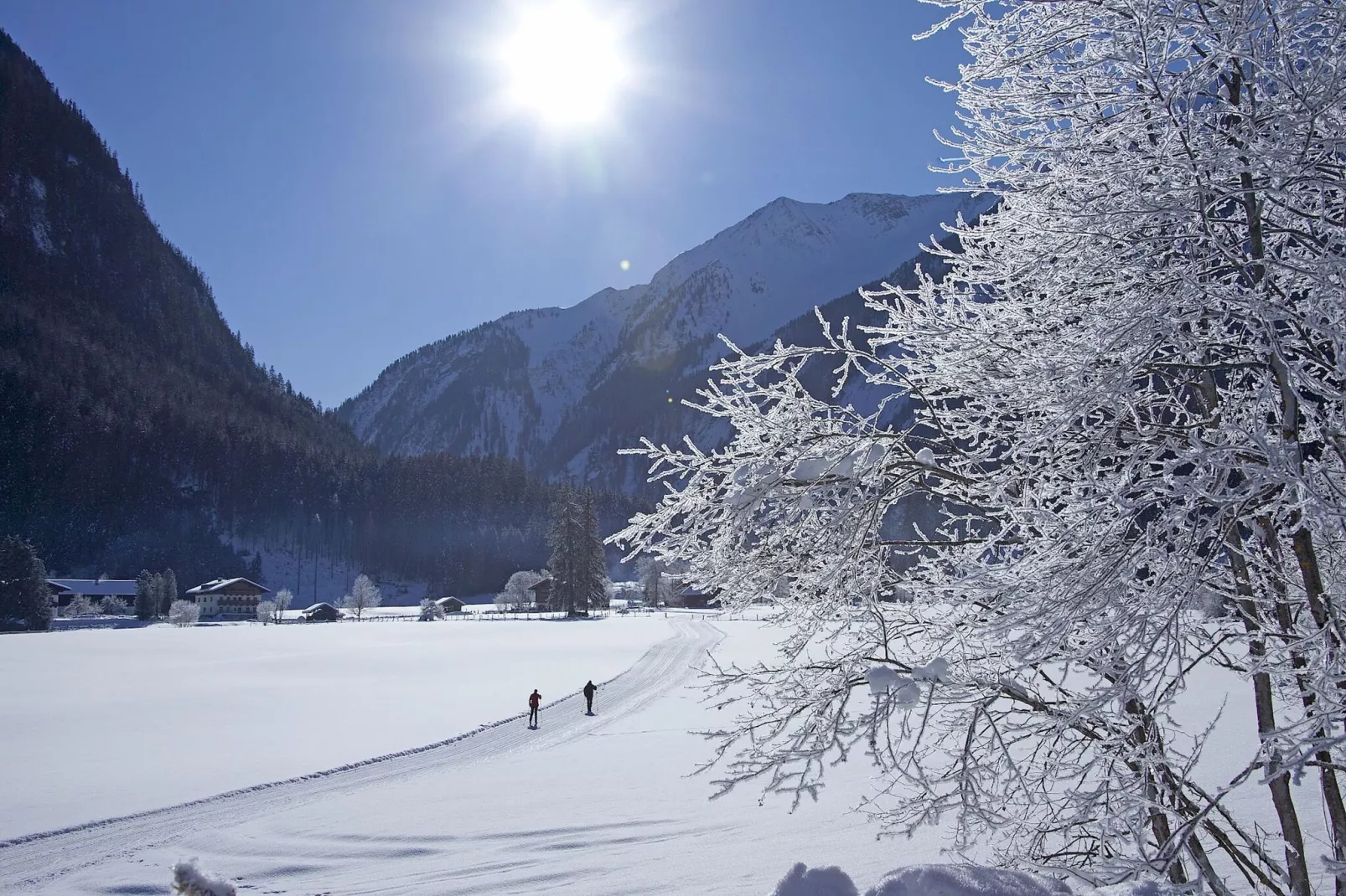 Ferienwohnung Hollaus-Gebied winter 5km