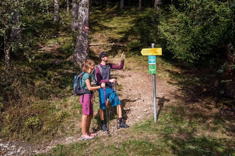 Ferienwohnung Hollaus-Gebieden zomer 1km