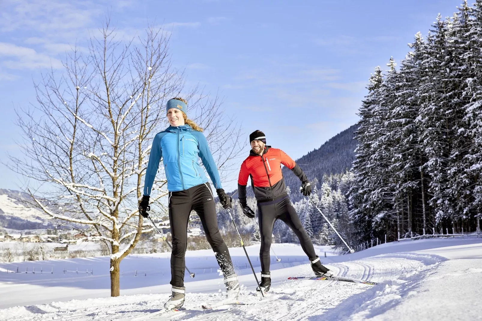 Ferienwohnung Hollaus-Gebied winter 5km