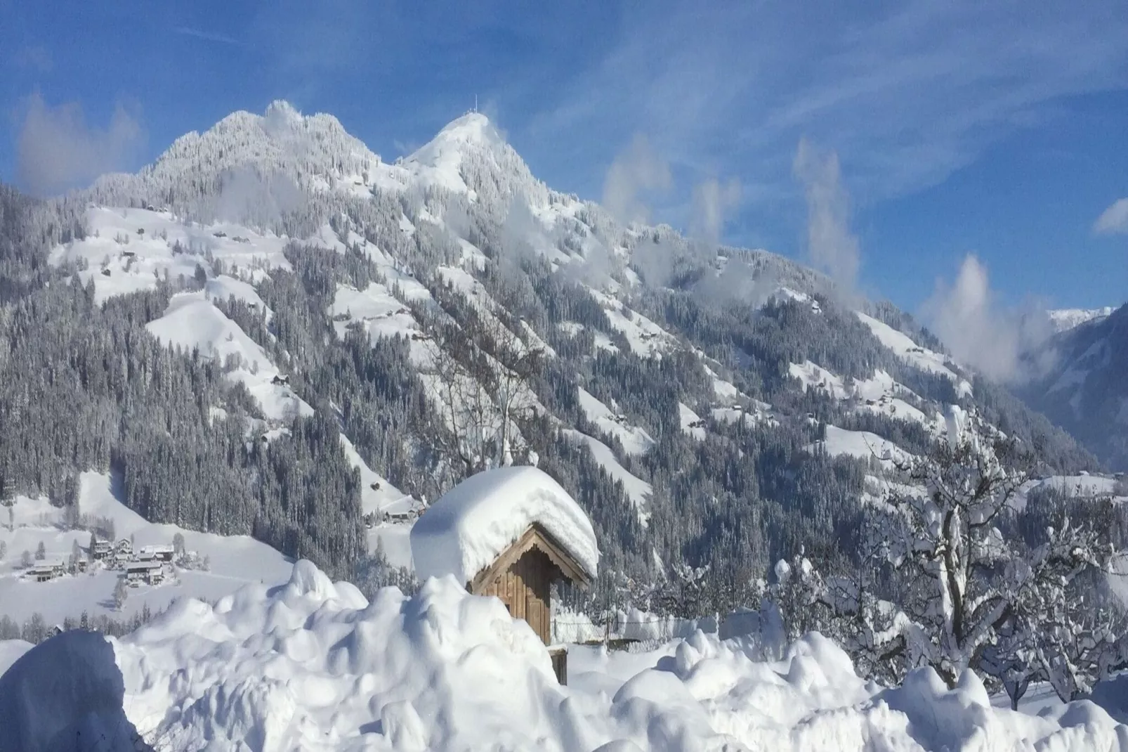 Alpenrose-Gebied winter 5km