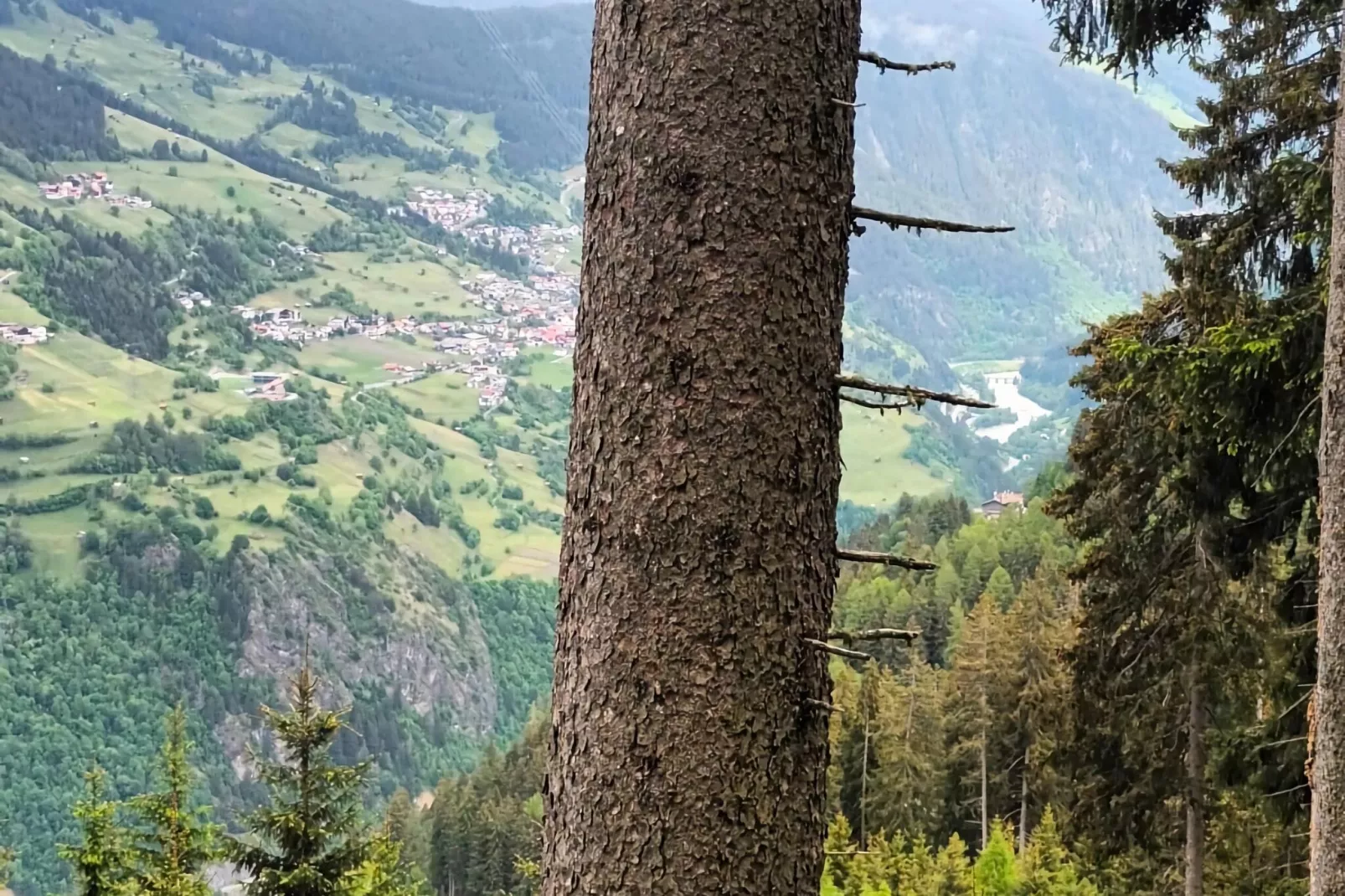 Venetblick-Gebieden zomer 1km