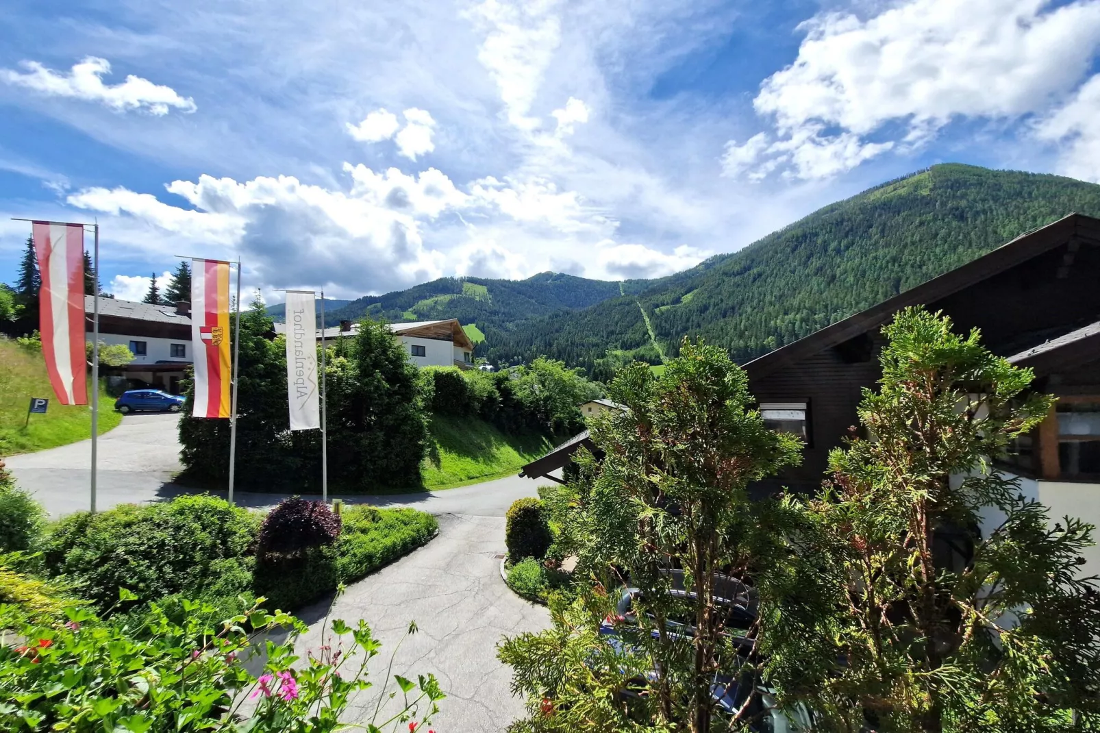 Alpenleben/Alpenhorst-Uitzicht zomer