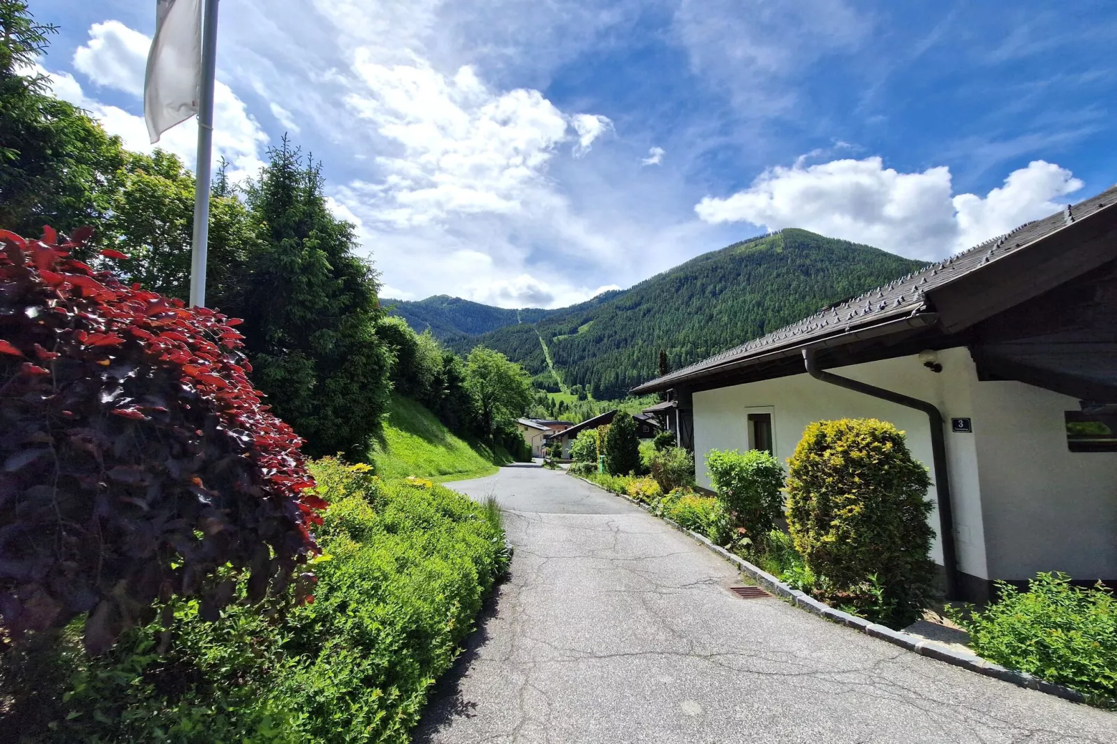 Alpenleben/Alpenhorst-Gebieden zomer 1km