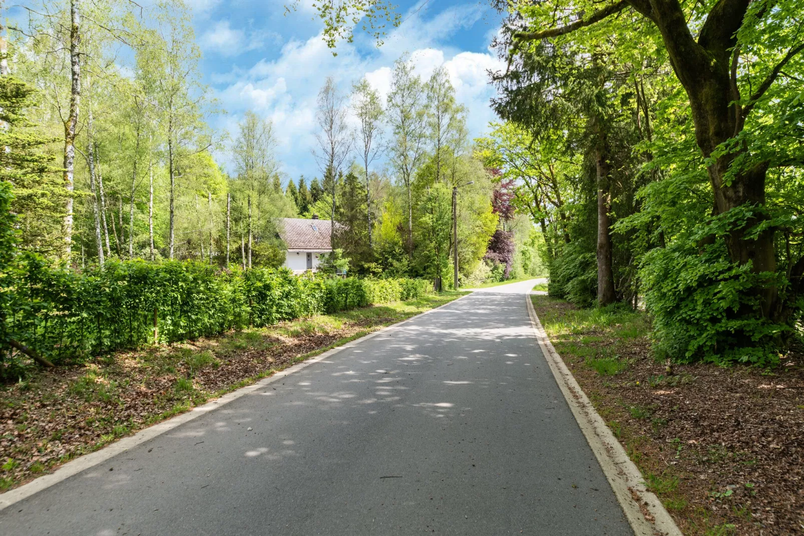 La maison du fagnard-Gebieden zomer 1km