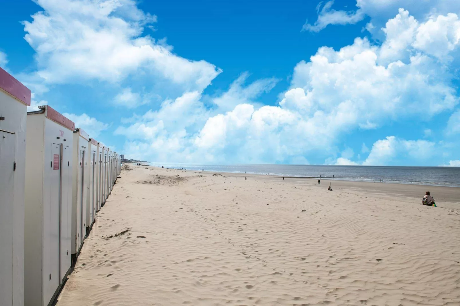 OLV 8-Gebieden zomer 5km