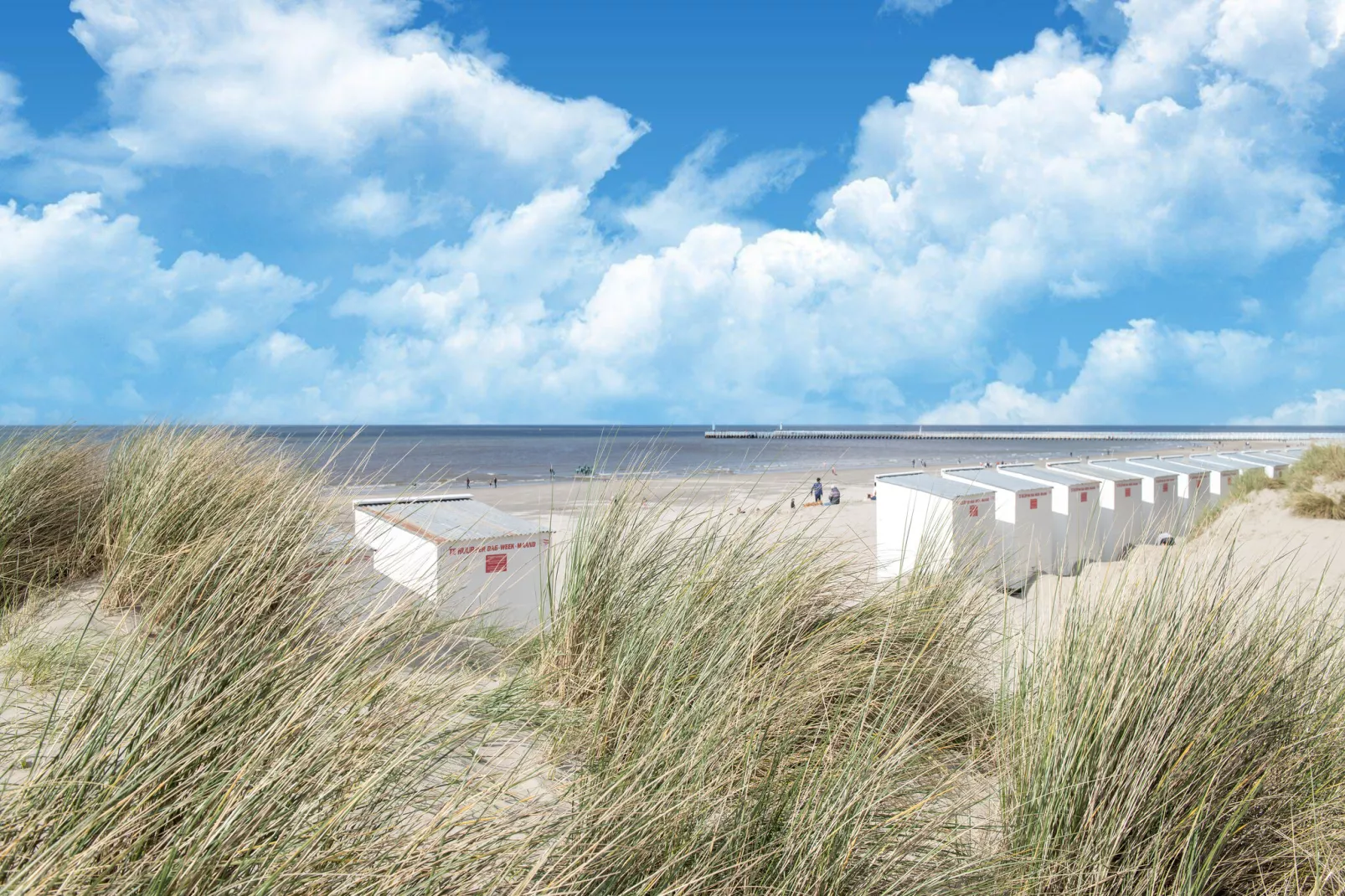 T Uzzetje-Gebieden zomer 5km