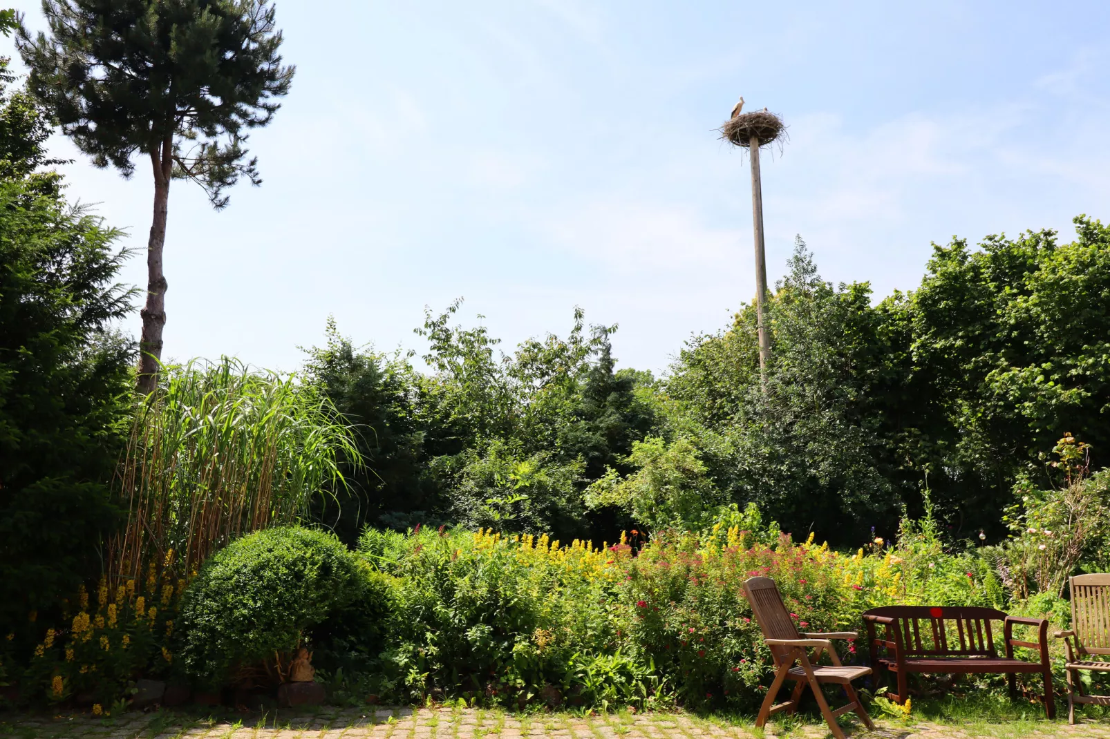 Ferienwohnung Parkblick mit 3 Schlafzimmern-Tuinen zomer