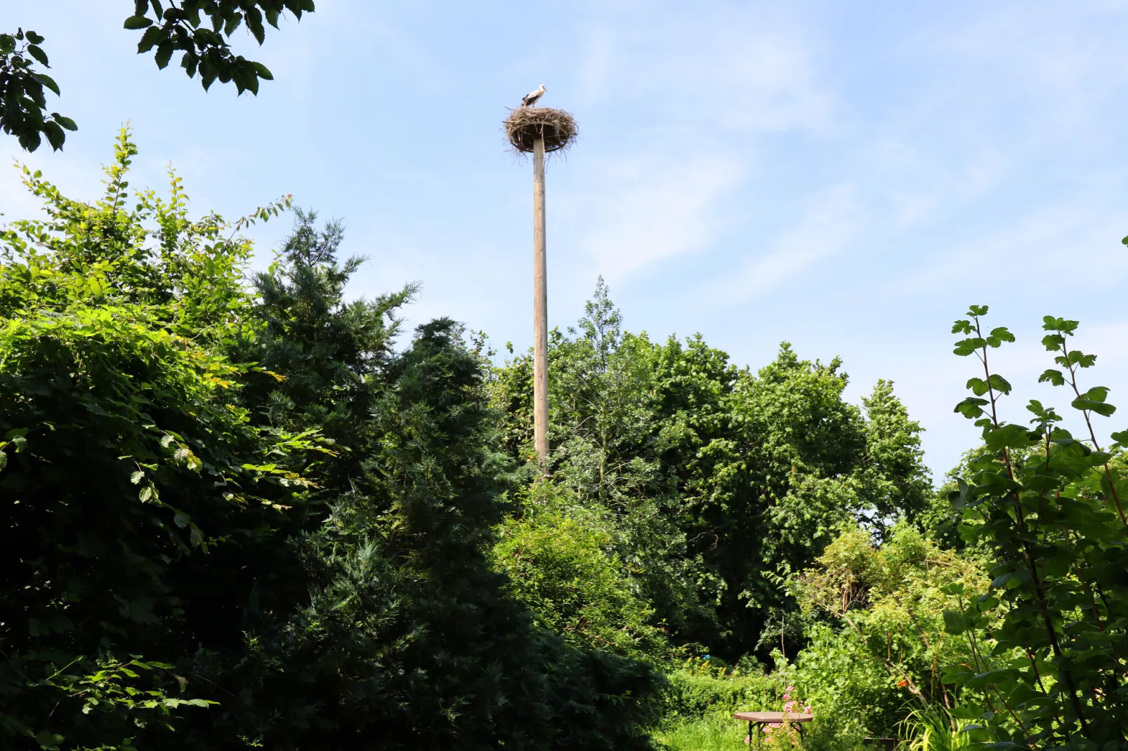 Ferienwohnung Parkblick mit 3 Schlafzimmern-Tuinen zomer