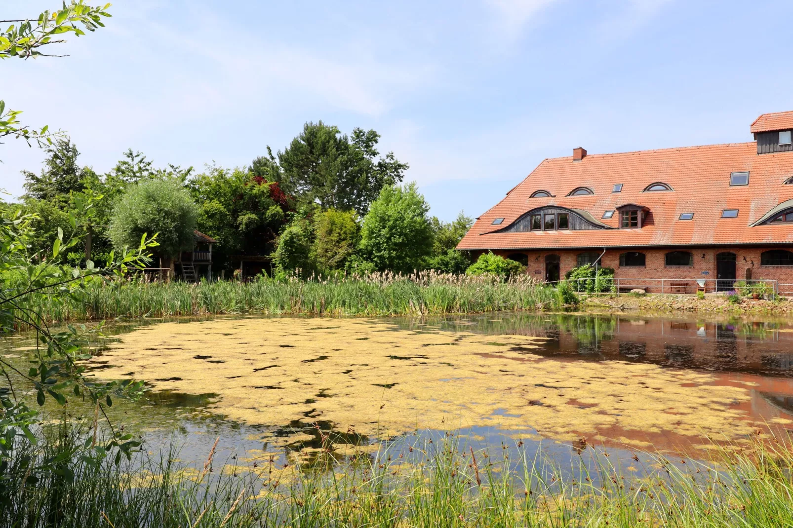 Die Besondere Ferienwohnung Bibliothek-Buitenkant zomer