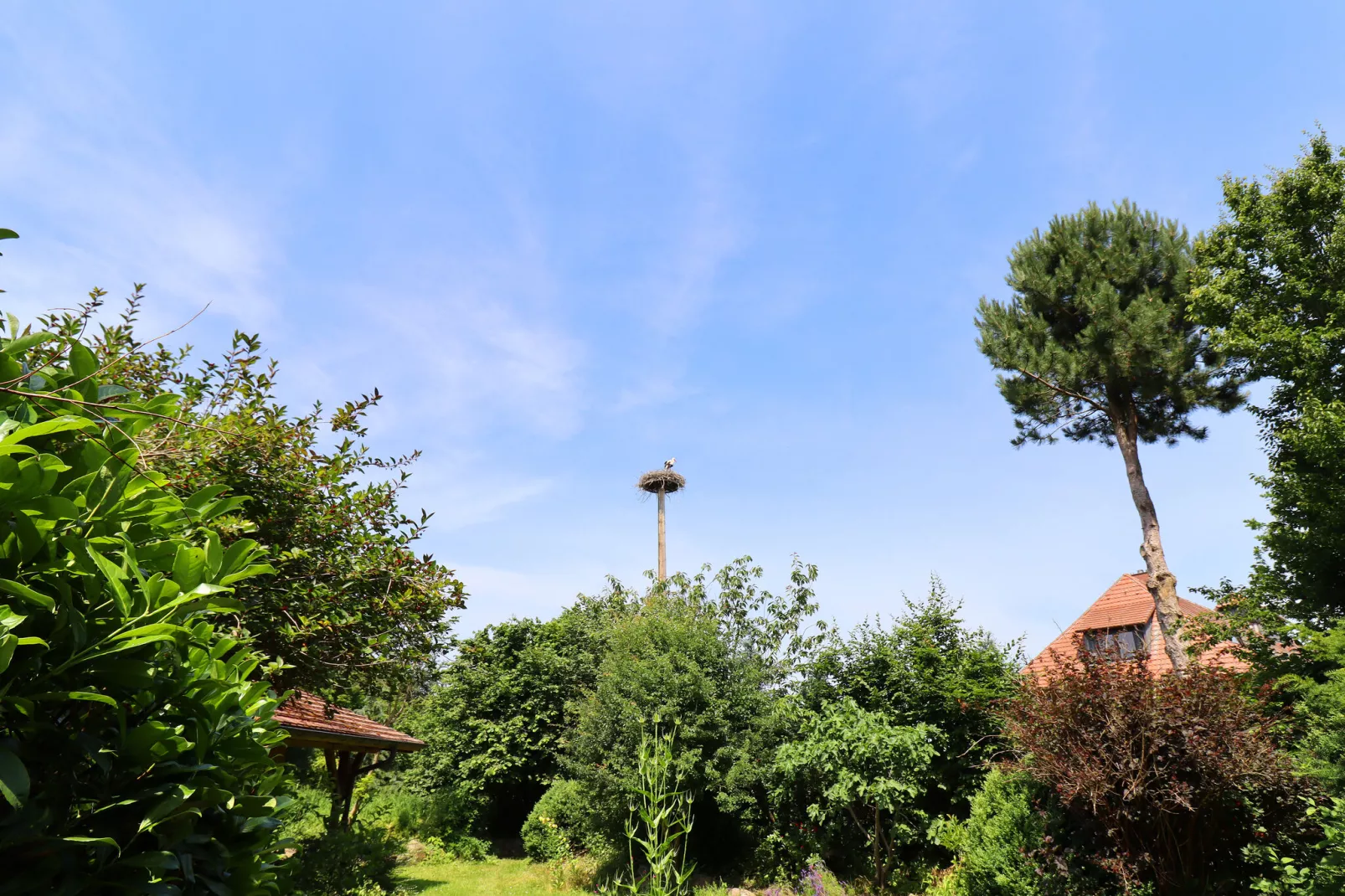 Familienferien mit ganz viel Platz innen und außen XL-Tuinen zomer