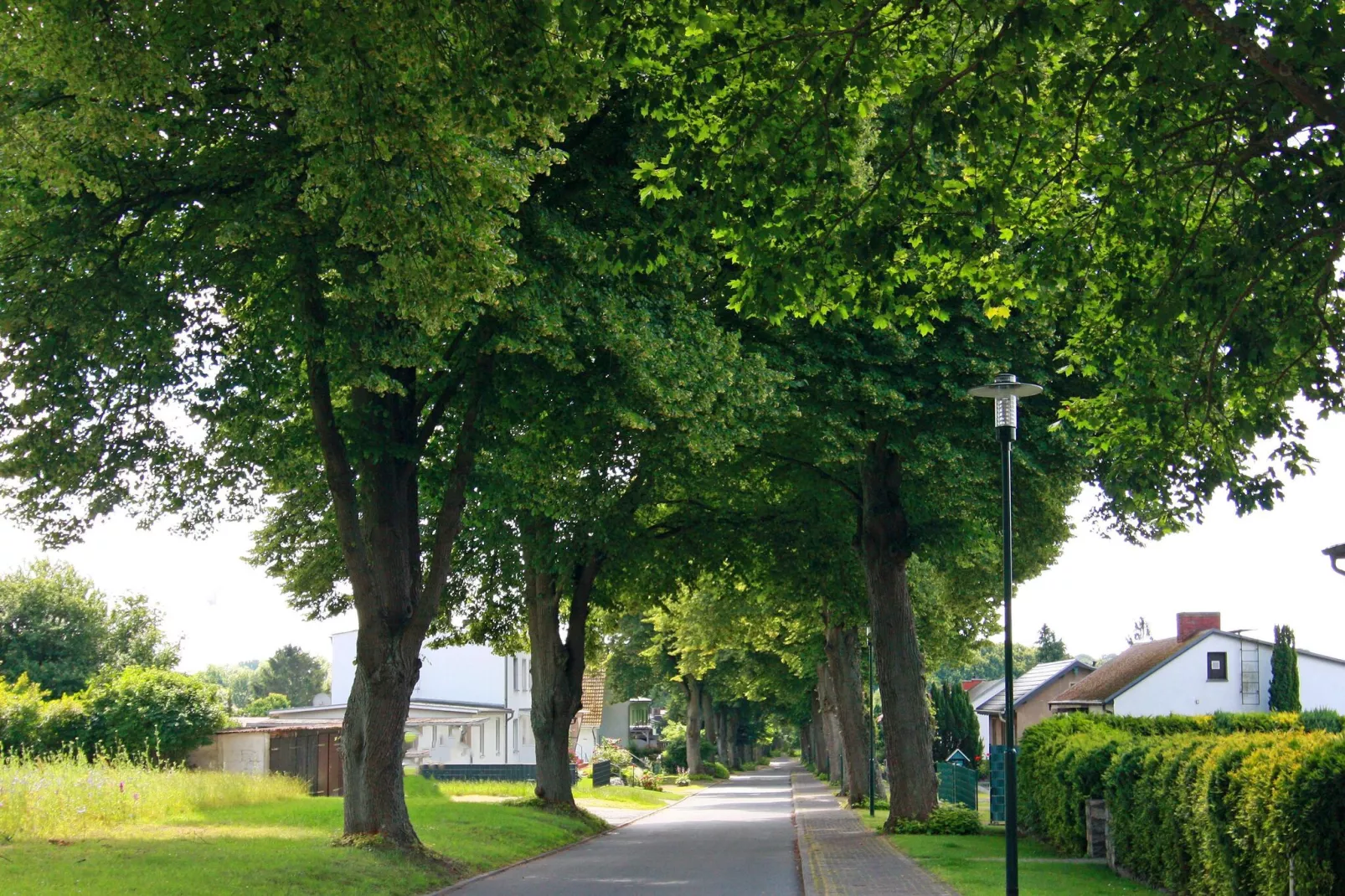 Am Hellbach-Gebieden zomer 1km