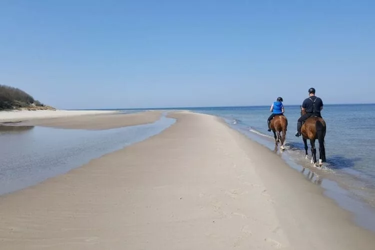 Ferienhaus Sternchen - Insel Rügen-Gebieden zomer 5km