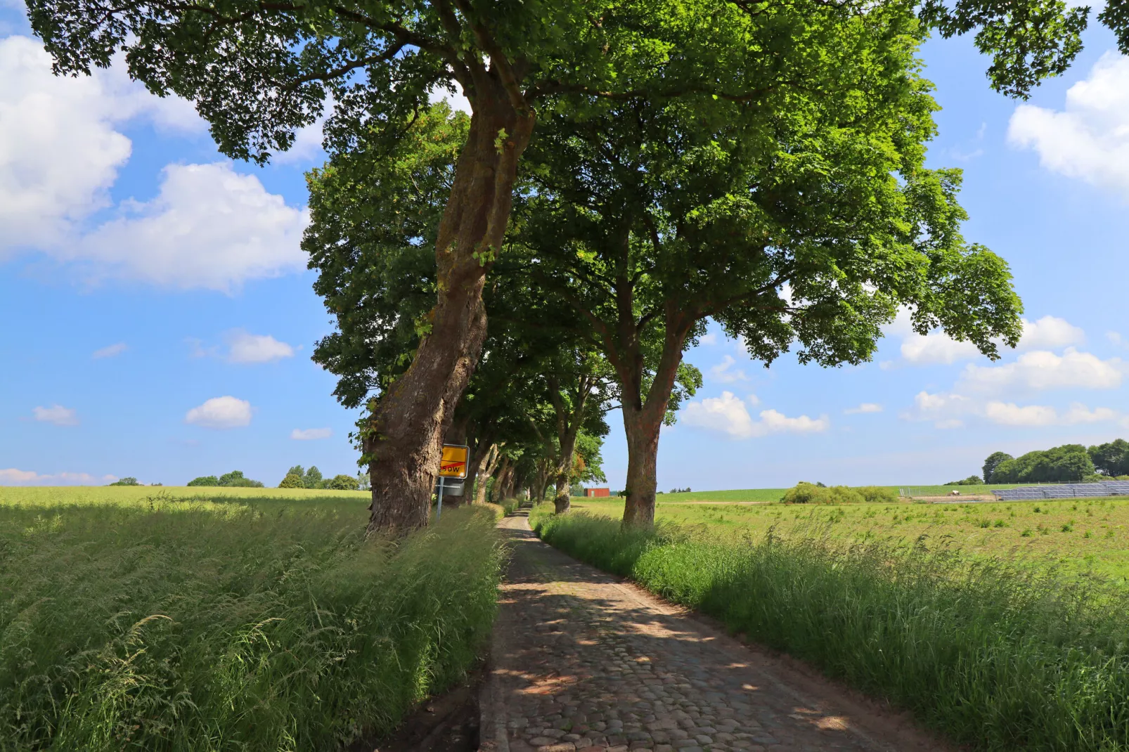 An der Allee-Gebieden zomer 1km