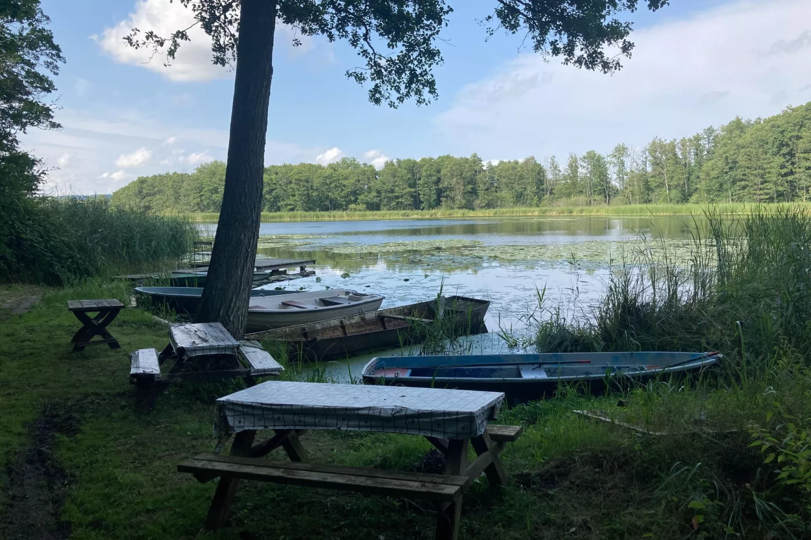 Wohnen im Gutshaus-Gebieden zomer 1km