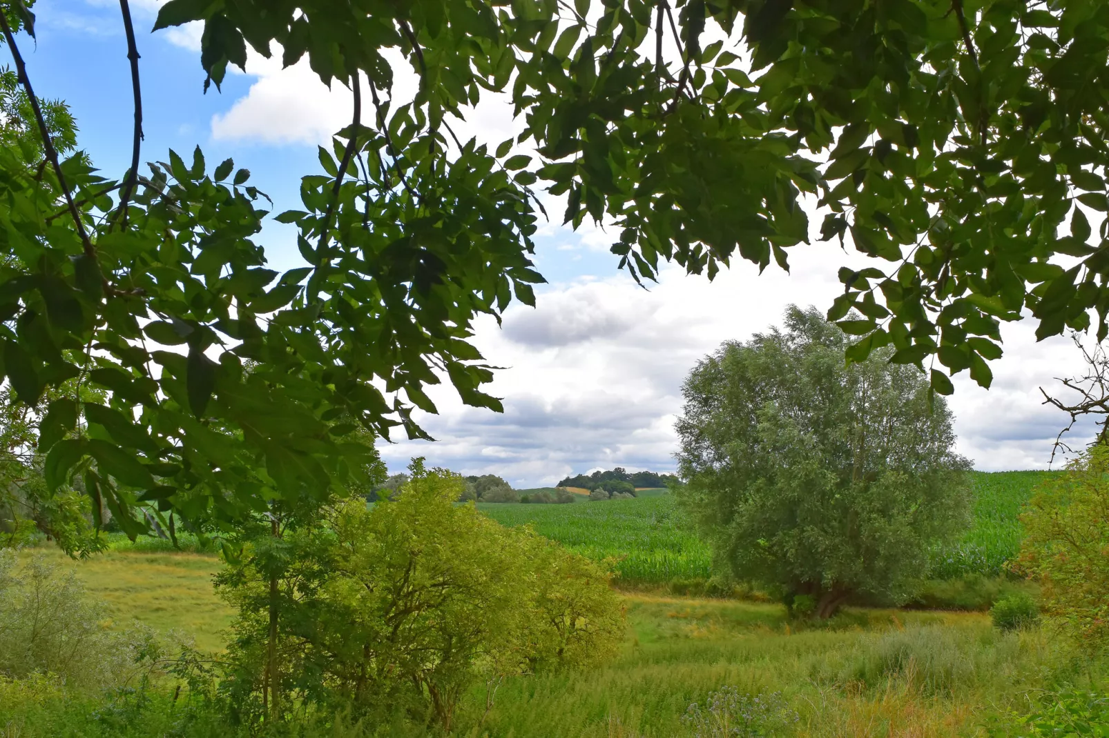 Wohnen im Gutshaus-Gebieden zomer 1km