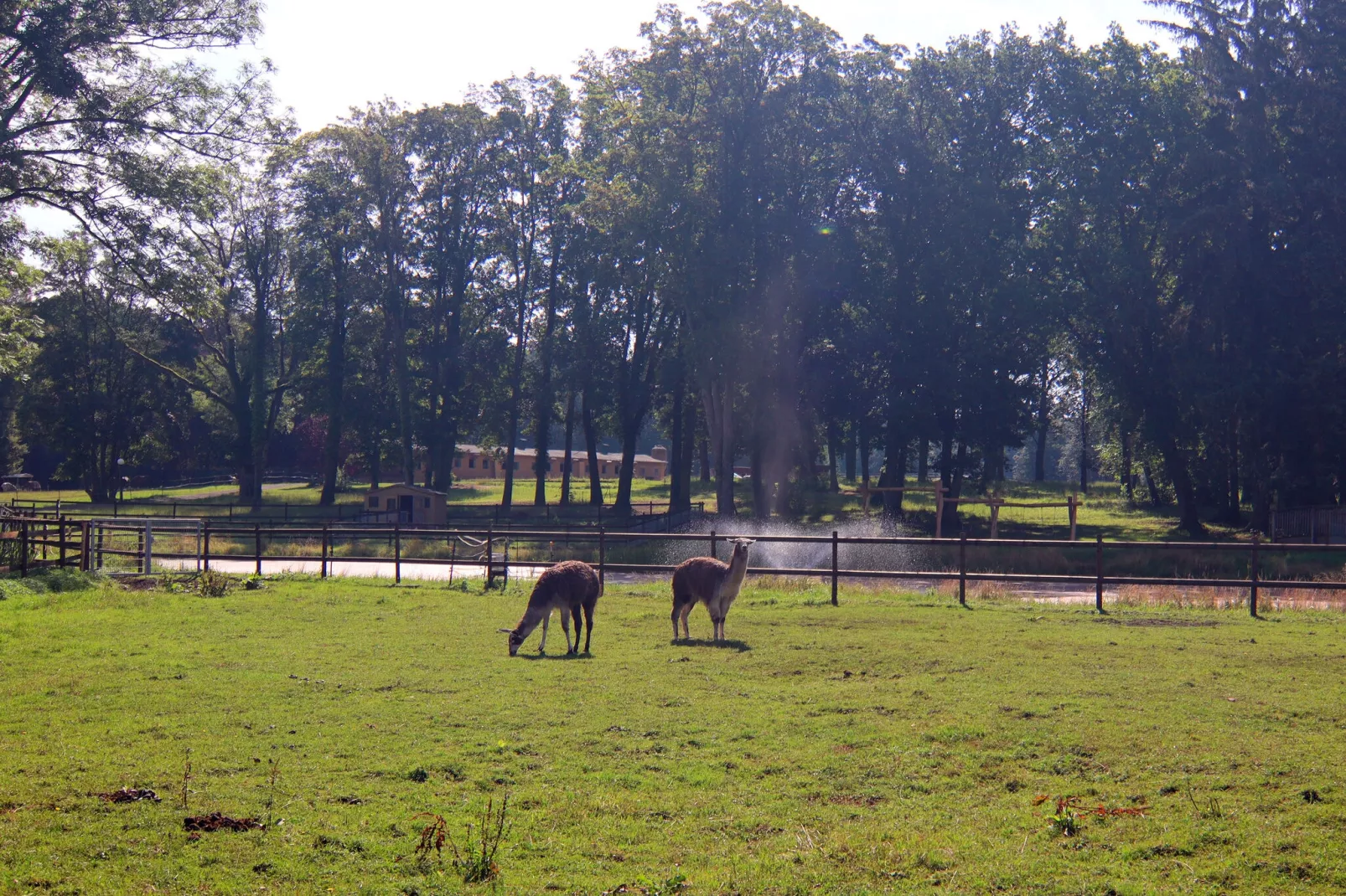 Ferienhaus Solitude-Gebieden zomer 1km