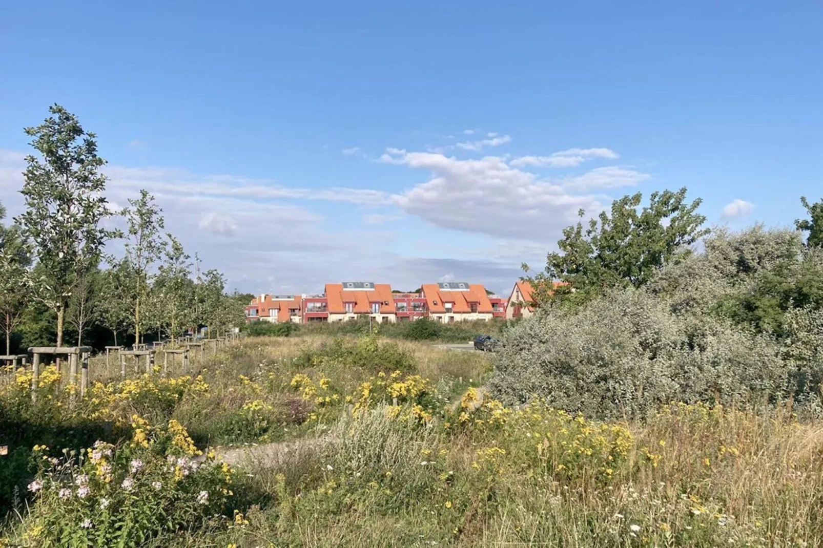 Bades Huk Hohenkirchen-1 Schlafzimmer-Gebieden zomer 1km