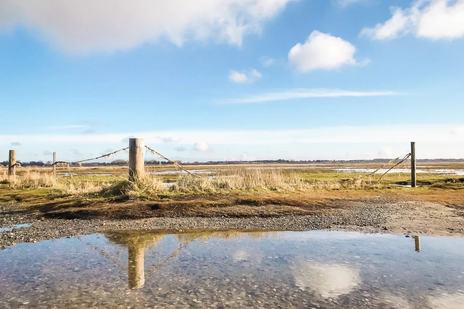 Ferienwohnung FriesennestSPO St Peter-Ording-Gebieden zomer 5km