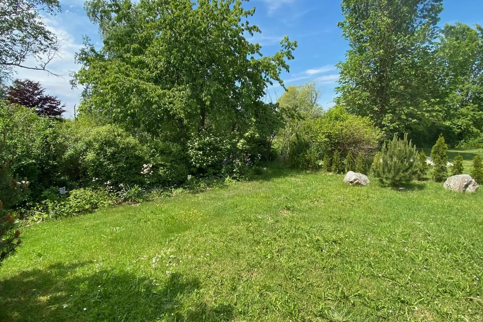 Ferienhaus in Hasselfelde - Haus 116 Auerhahn-Tuinen zomer