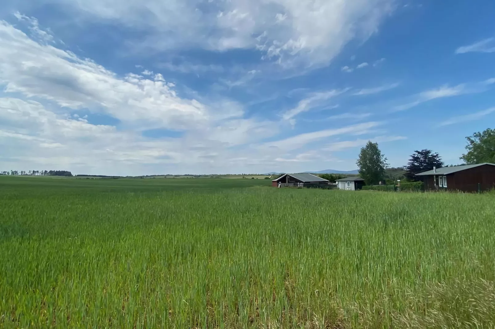 Ferienhaus in Hasselfelde - Haus 116 Auerhahn-Tuinen zomer