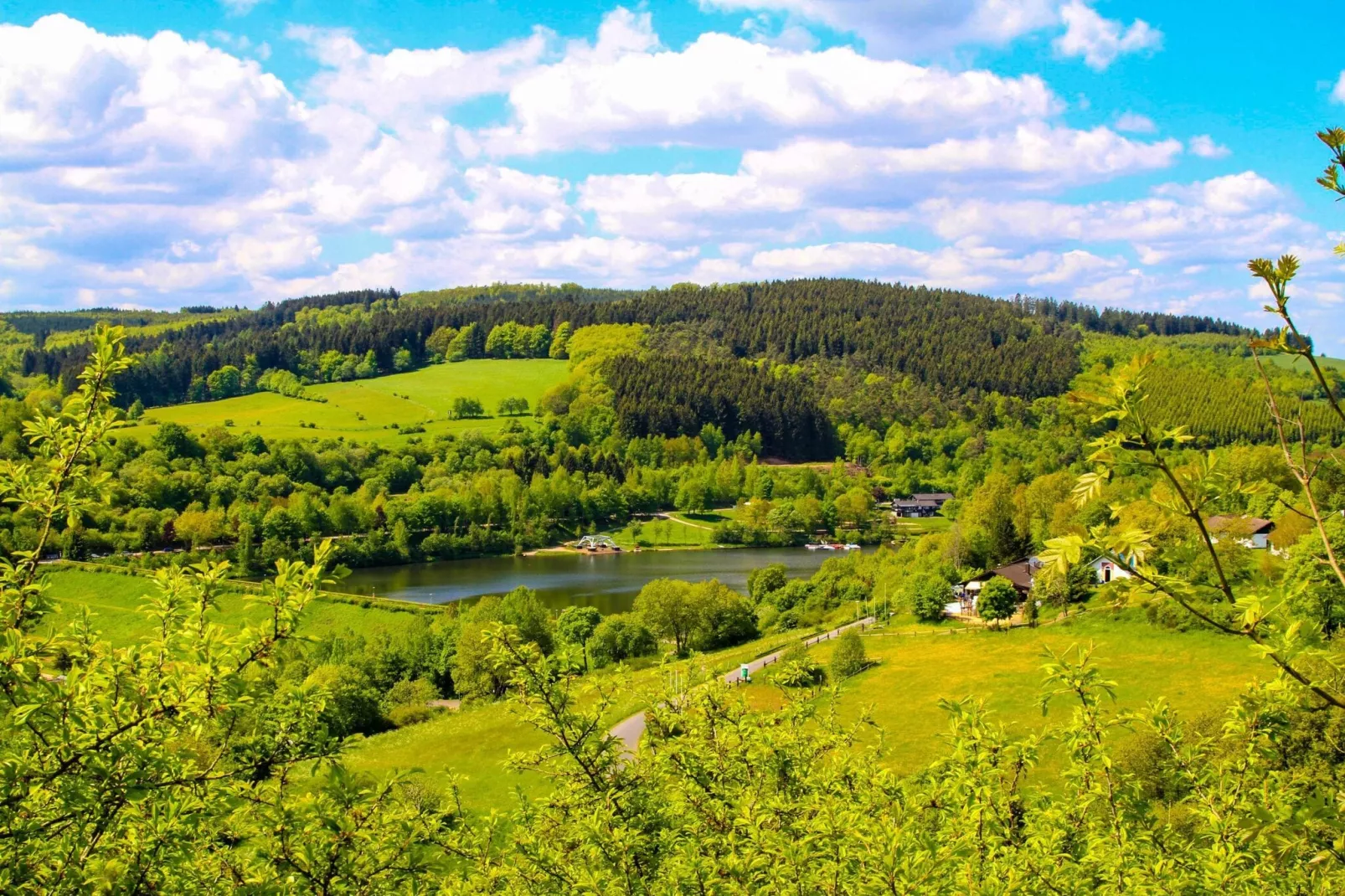 Wohlfühl Ferienhaus Henn Eifellust-Gebieden zomer 5km