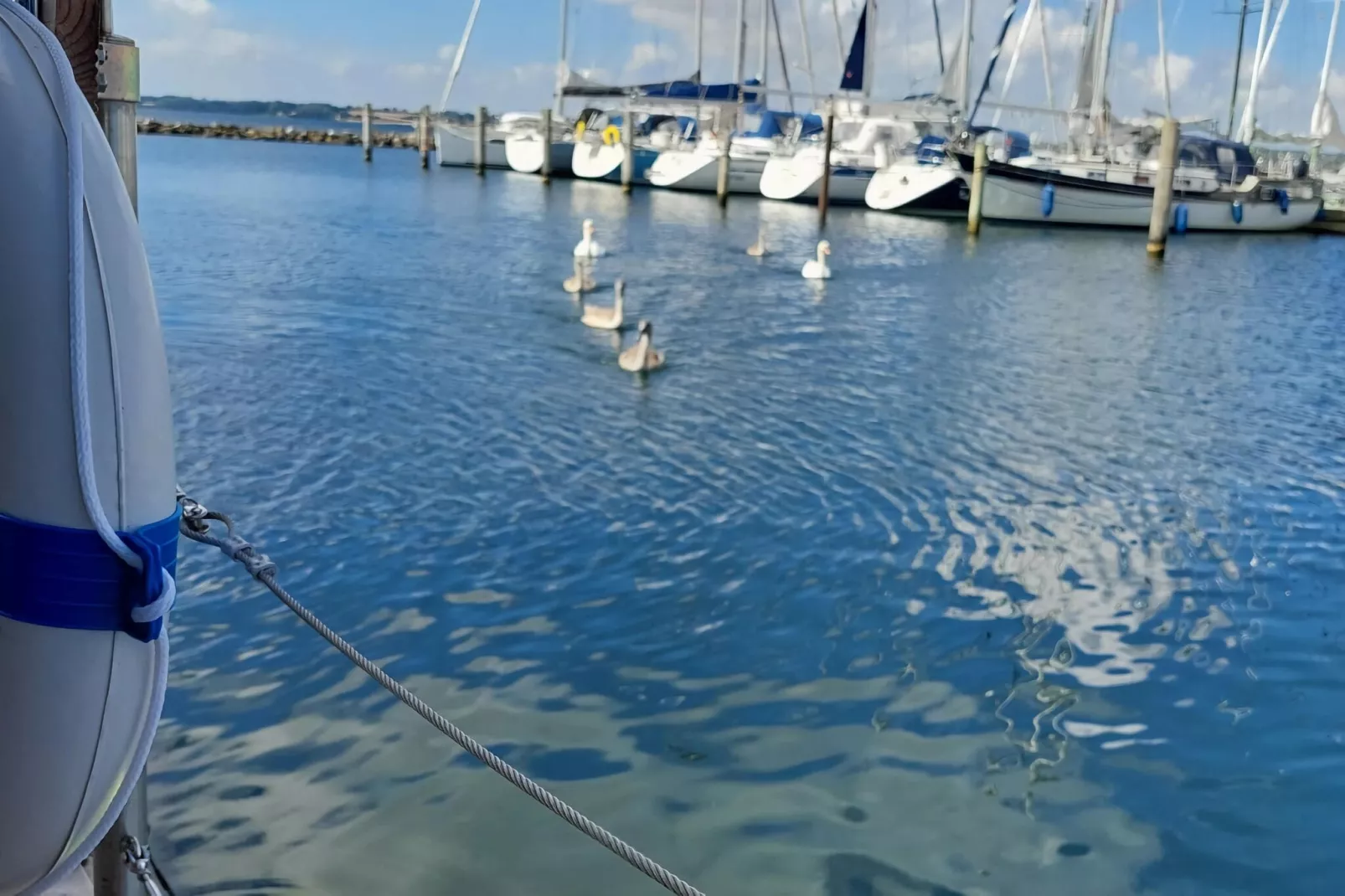 Hausboot Hecht 1-2 Personen-Gebieden zomer 1km